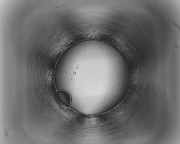 X0000101180695200807071245