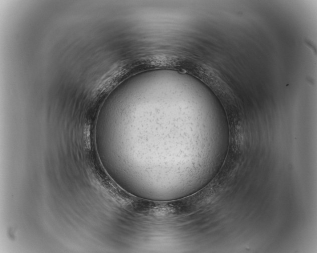 X0000101180696200807071245