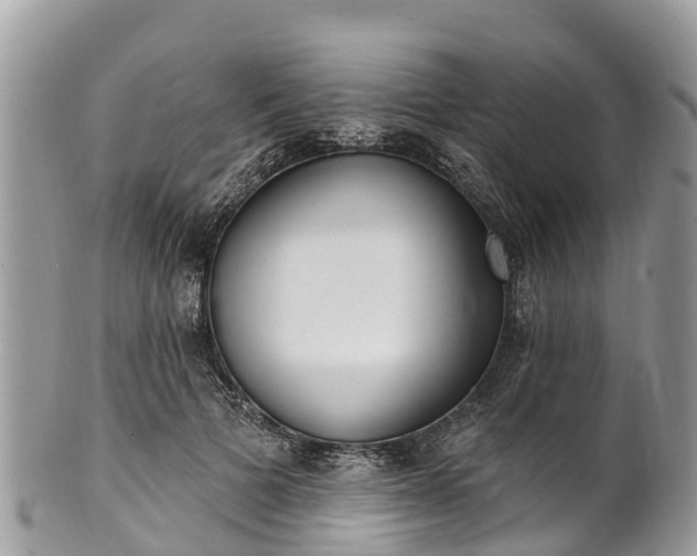 X0000101180697200807071245