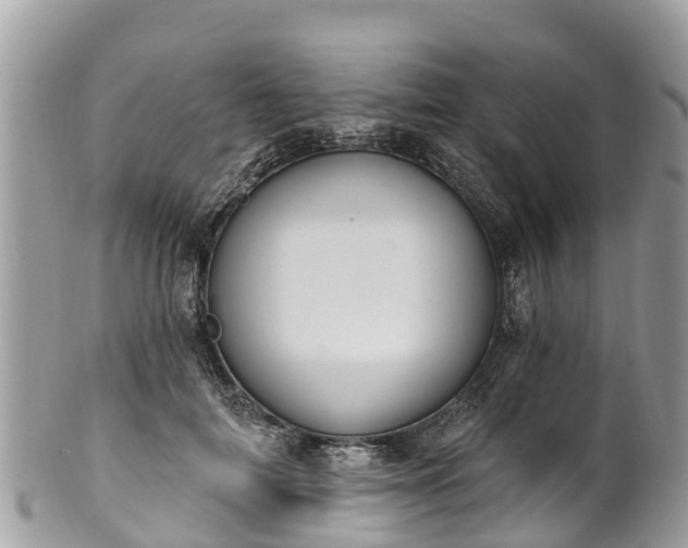 X0000101180698200807071245