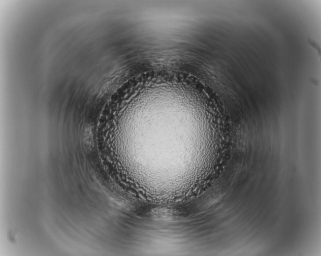 X0000101180699200807071245
