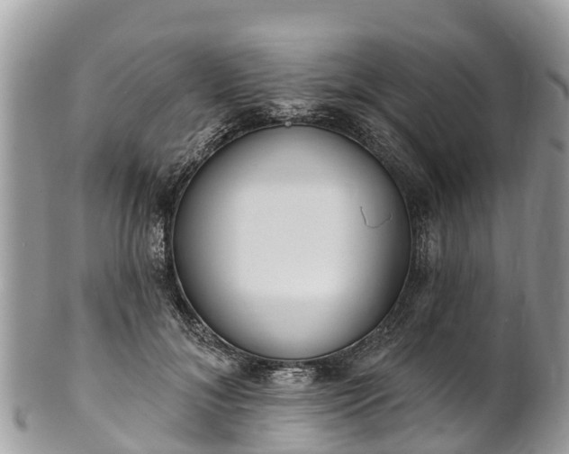 X0000101180700200807071245