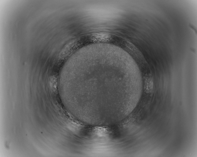 X0000101180701200807071245