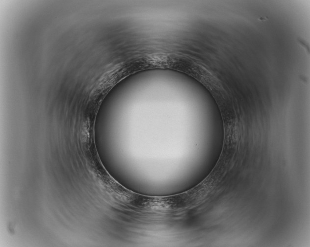 X0000101180702200807071245