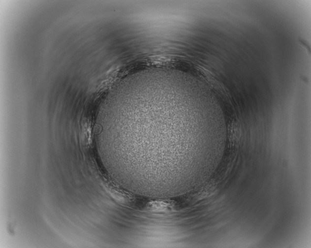 X0000101180703200807071245