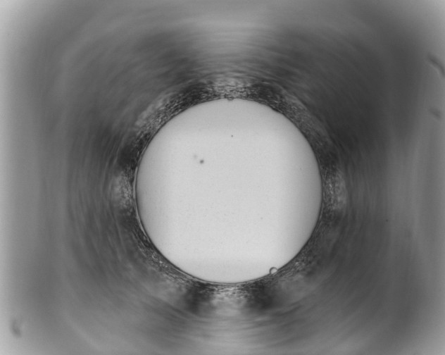 X0000101180705200807071245
