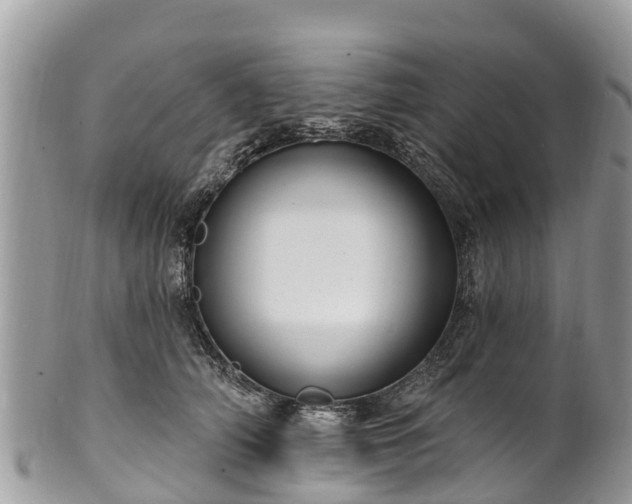 X0000101180706200807071245