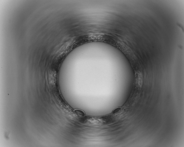 X0000101180712200807071245