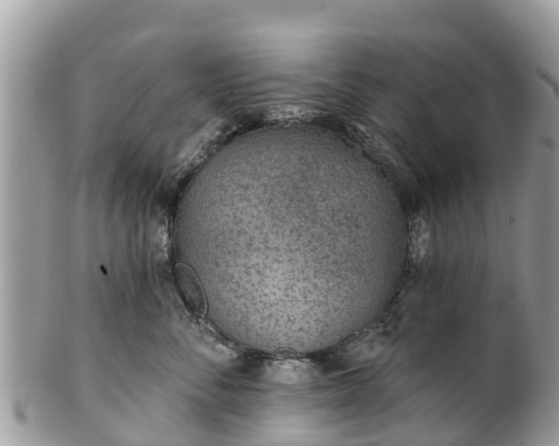 X0000101180716200807071245