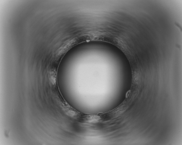 X0000101180719200807071245