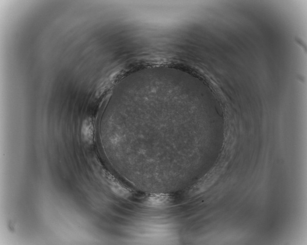 X0000101180720200807071245