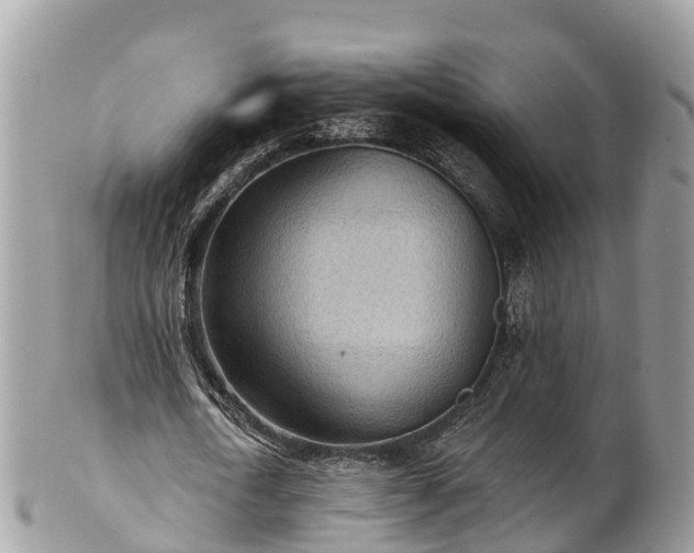 X0000101180722200807071244