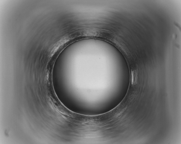 X0000101180723200807071244