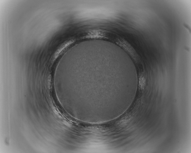 X0000101180724200807071244