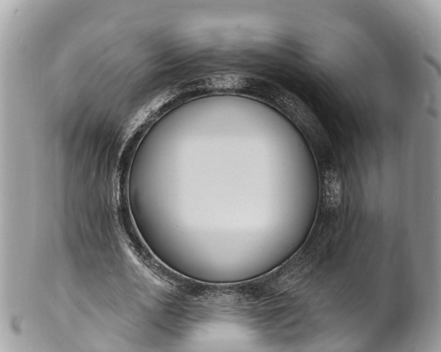 X0000101180726200807071244