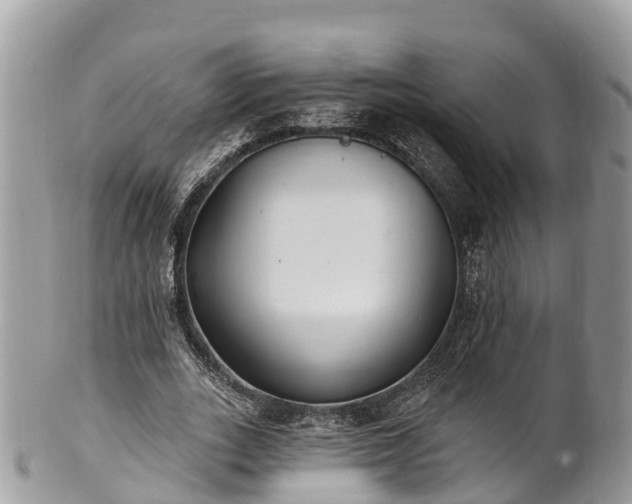 X0000101180727200807071244