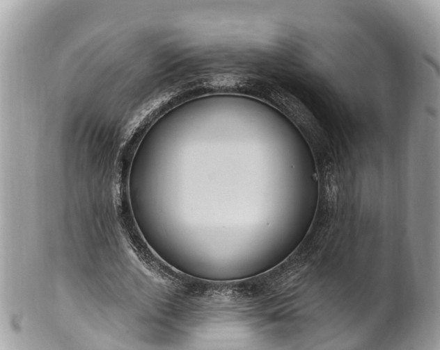 X0000101180728200807071244