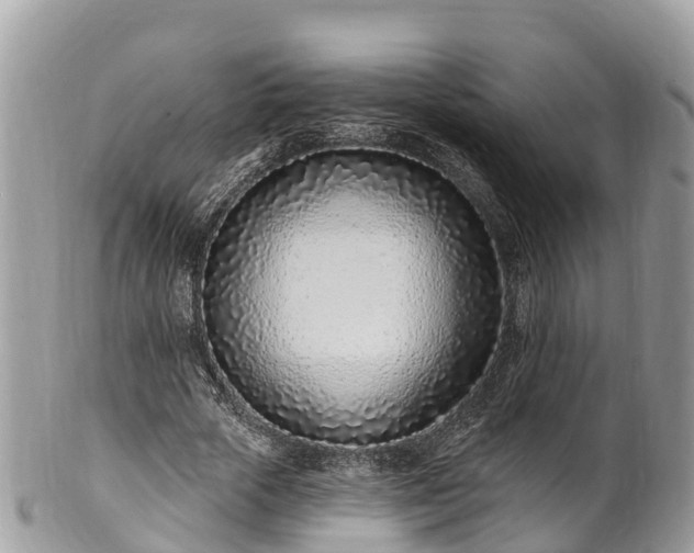 X0000101180729200807071244