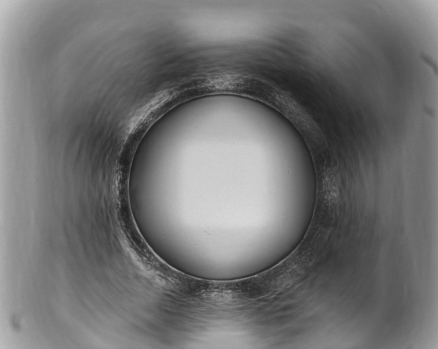 X0000101180730200807071244