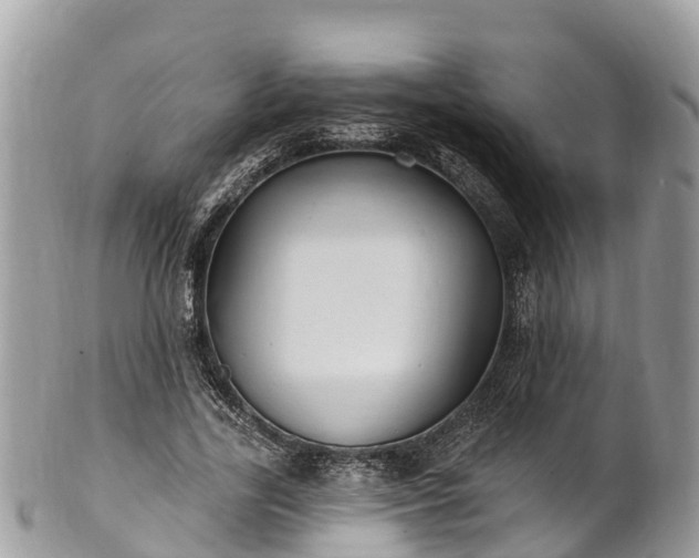 X0000101180731200807071244