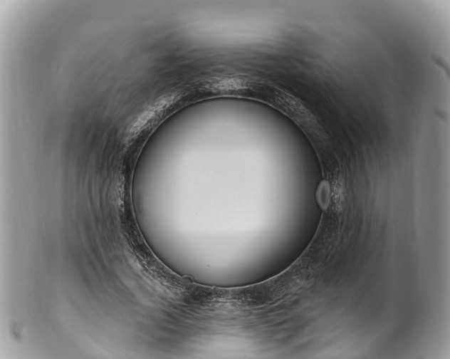 X0000101180732200807071244