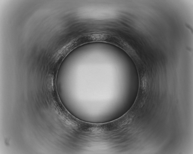 X0000101180733200807071244