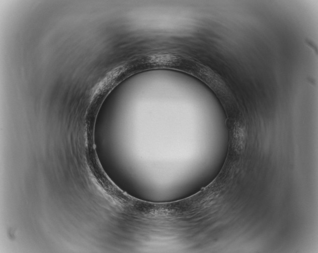 X0000101180734200807071244