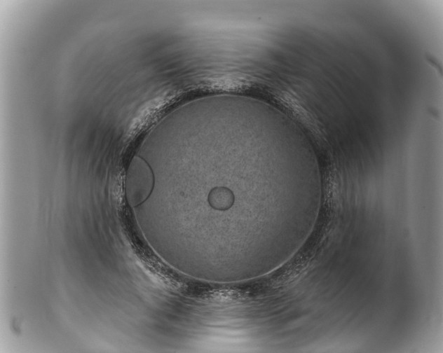 X0000101180736200807071244