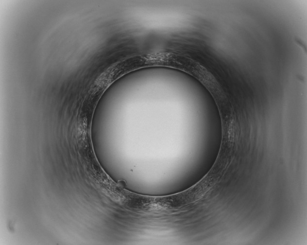 X0000101180737200807071244