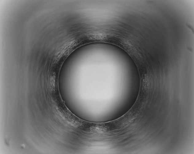 X0000101180739200807071244