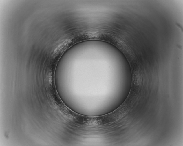 X0000101180740200807071244
