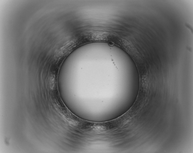 X0000101180741200807071244