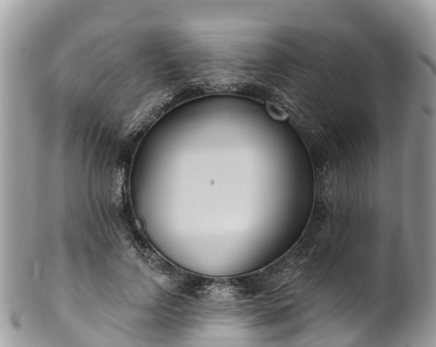 X0000101180742200807071244