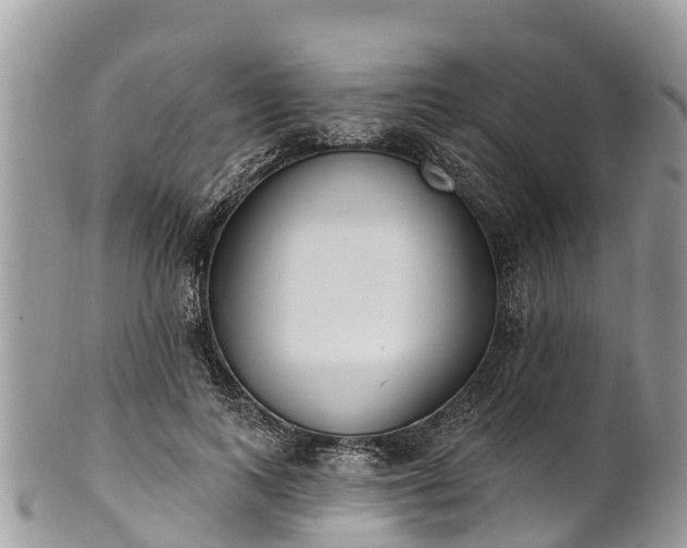 X0000101180743200807071244