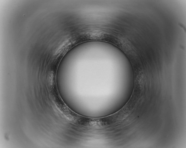 X0000101180744200807071244