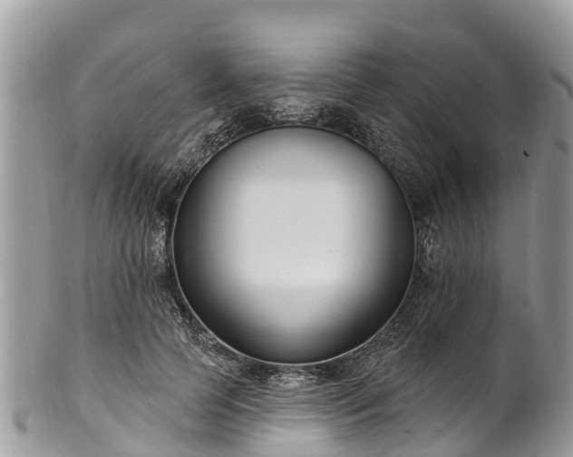 X0000101180745200807071244