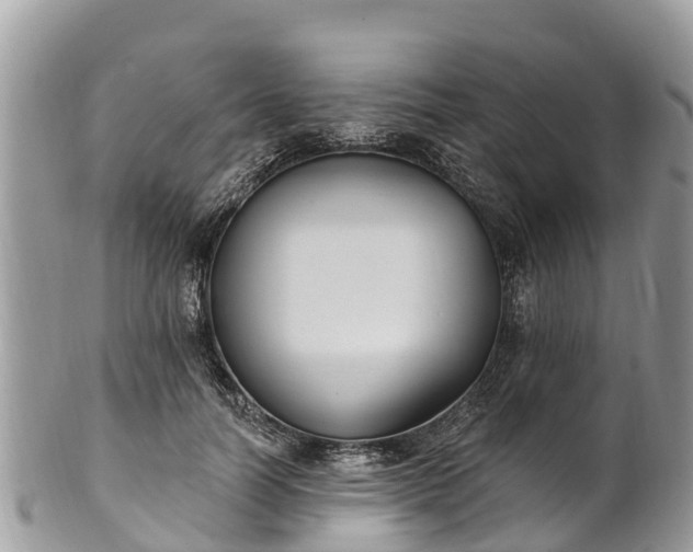 X0000101180746200807071244