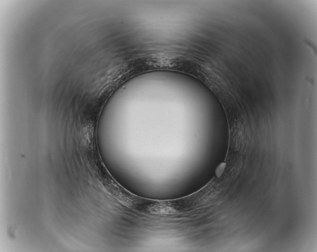 X0000101180747200807071244