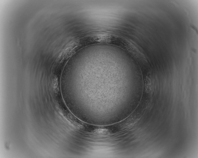 X0000101180748200807071244