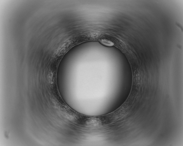 X0000101180750200807071244