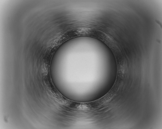 X0000101180751200807071244