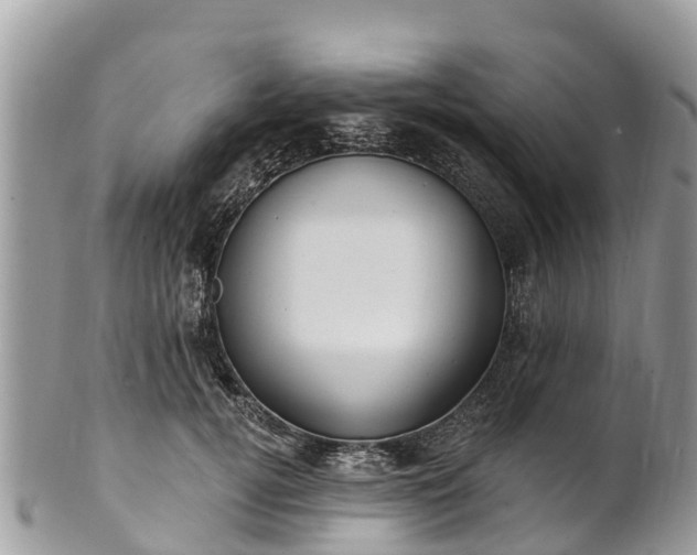 X0000101180752200807071244