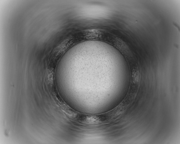 X0000101180753200807071245