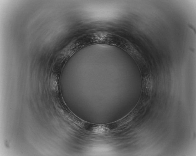 X0000101180754200807071245