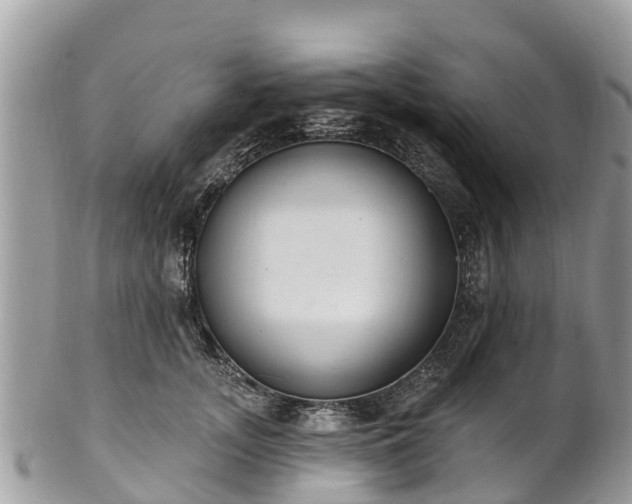 X0000101180755200807071245