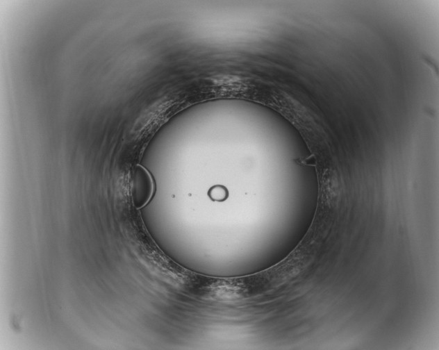 X0000101180756200807071245