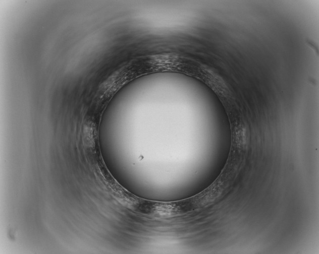 X0000101180757200807071245