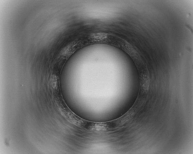 X0000101180758200807071245