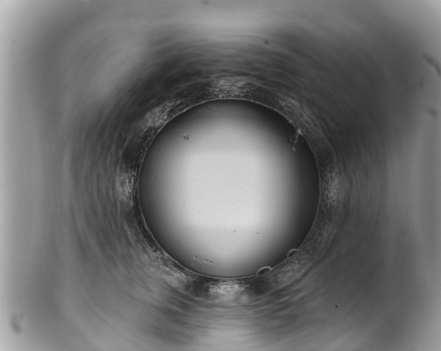 X0000101180759200807071245