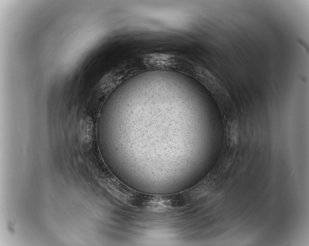 X0000101180760200807071245